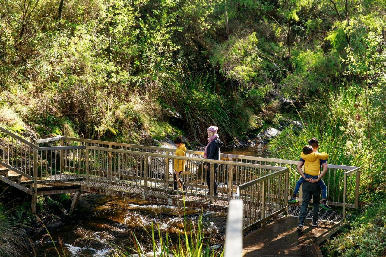 Rac Karri Valley Resort เพมเบอร์ตัน ภายนอก รูปภาพ