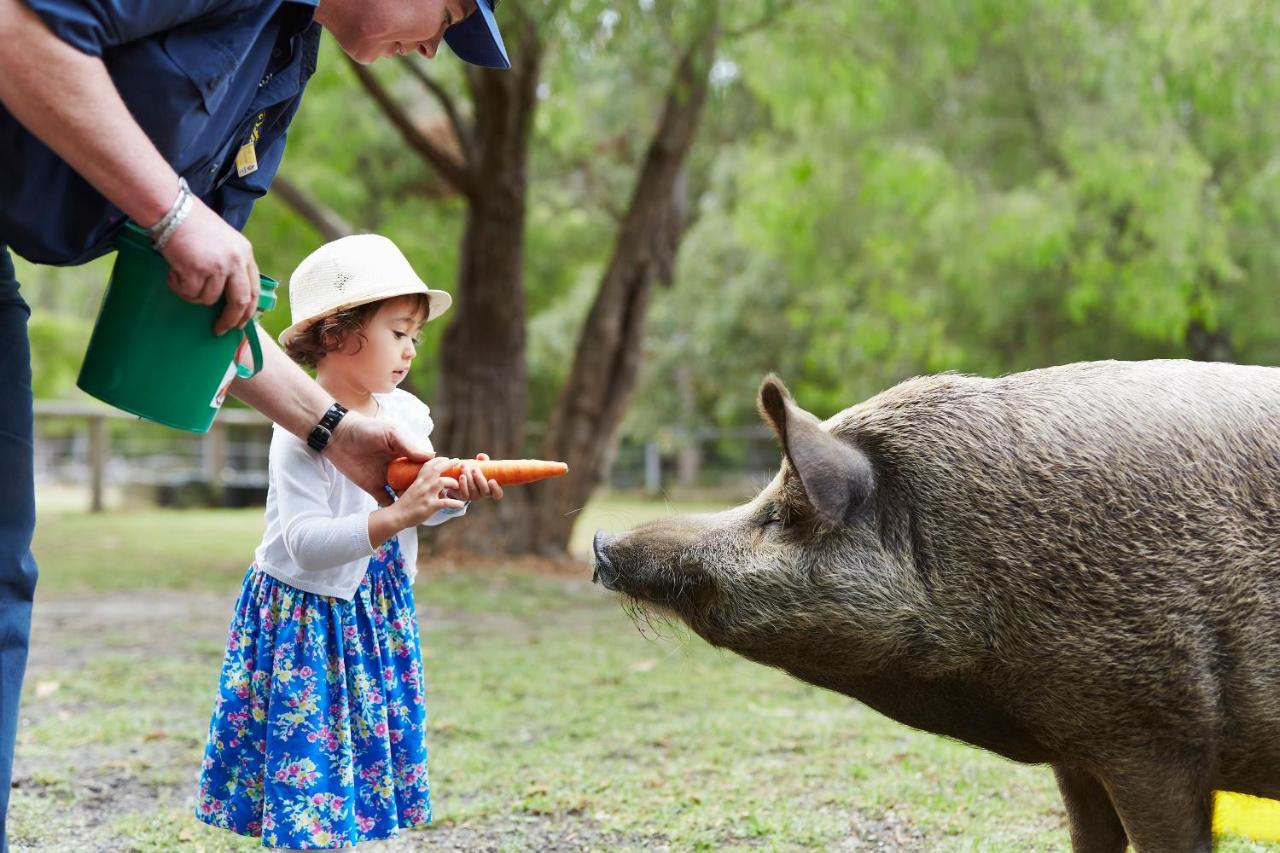 Rac Karri Valley Resort เพมเบอร์ตัน ภายนอก รูปภาพ